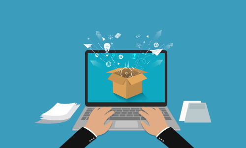 Develop and Sell a Unique Product