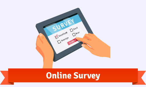 Participate in Online Surveys