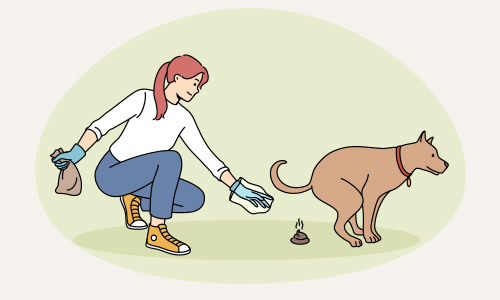 Dog Poop Removal