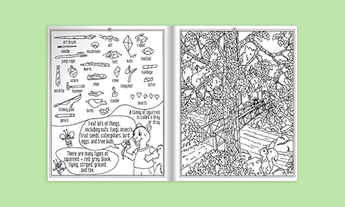 Hidden Picture Books