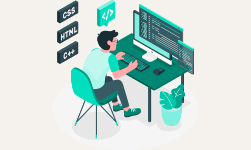 Software Developer