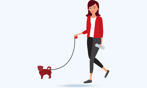 Pet Sitter, Pet Sitting
