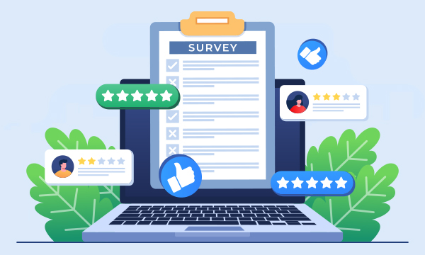 Online Surveys